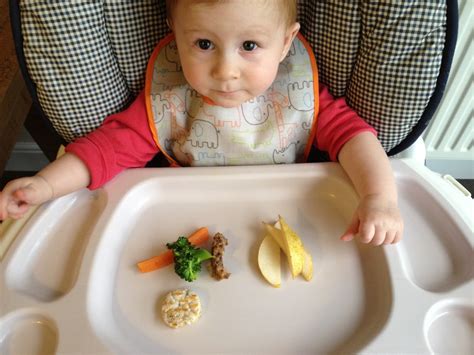 Baby Led Weaning La Nueva Moda En Alimentación Para Bebés