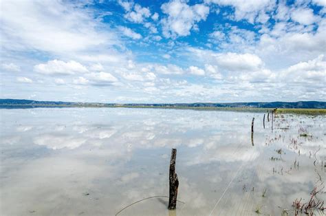 Lake George Bungendore 2022 Lohnt Es Sich Mit Fotos