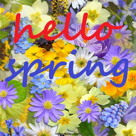 Hello Spring Flower images Free Download - Noolyo.com