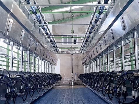 Herringbone Milking Parlour Intermilk