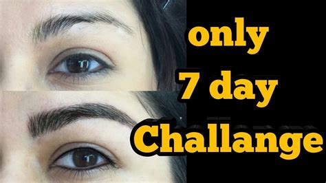 How To Grow Thicker Eyebrows In 7 Days Challenge Naturally Fast My Secret Ingredient Youtube