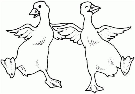 goose coloring page at free printable colorings porn sex picture
