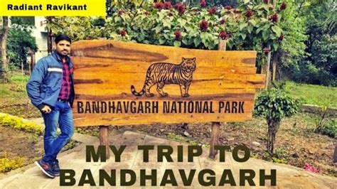 कय हआ बधवगढ टइगर सफर म BANDHAVGARH NATIONAL PARK BEST