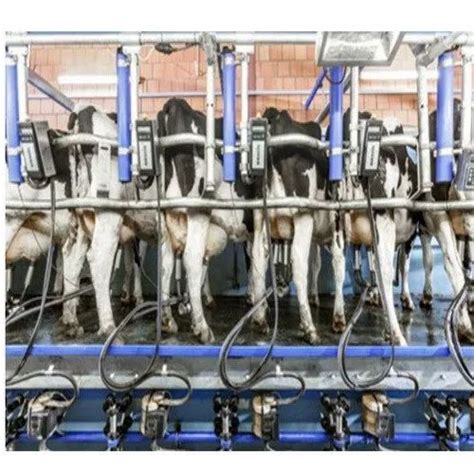 Milking Parlour Milking Parlor 4 Milking Units Manufacturer From Pune