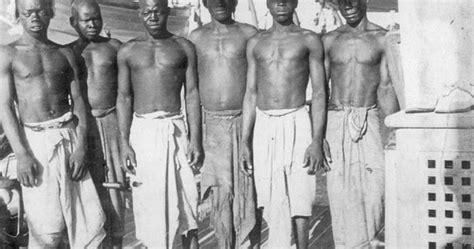 Pesquisando A HistÓria Details Of Horrific First Voyages In Transatlantic Slave Trade Revealed