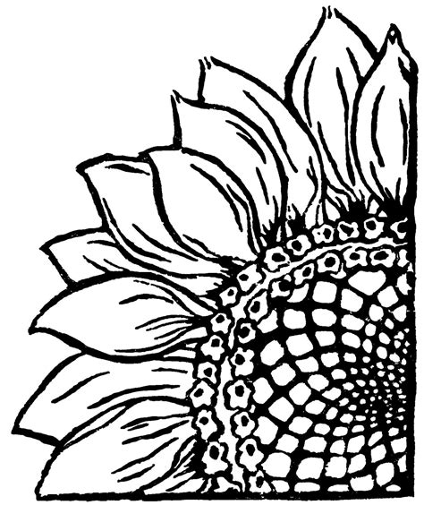 Printable Stencil Sunflower Outline Printable Word Searches