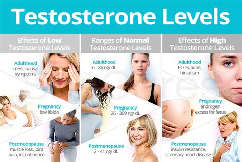 What Are Normal Testosterone Levels Balance My Hormones