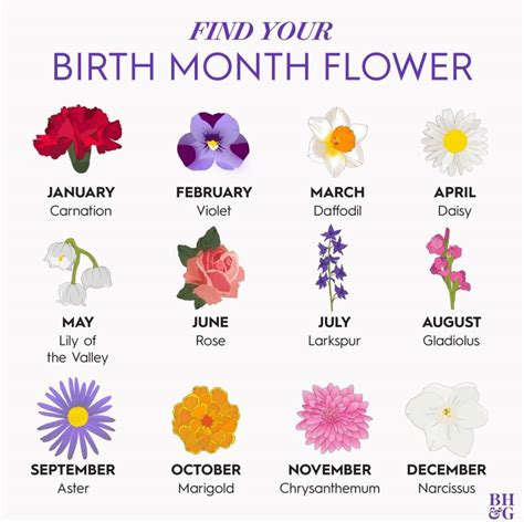 Birth Flowers For Each Month List Birth Month Flowers Personalized For Mom Mothers Day