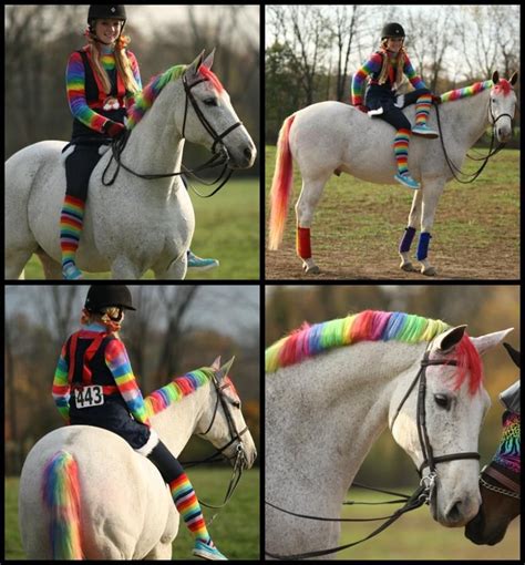 Rainbow Pony Horse Halloween Costumes Horse Costumes Horses