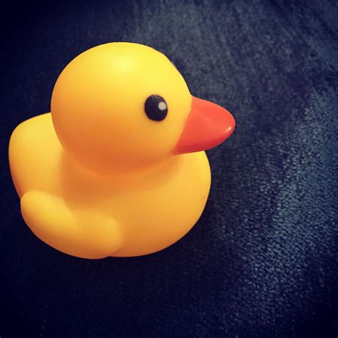Hula Hula Rubber Duck Ducks Shower Ideas Baby Shower Toys Jelly