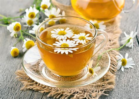Benefits Of Chamomile Tea For Babies Moma Baby Etc