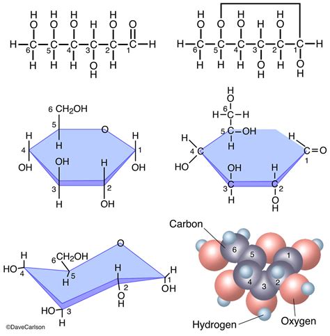 Glucose Molecule Carlson Stock Art