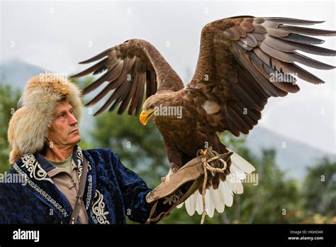 Kazakh Eagle Hunter In Traditional Costumes Holding His Golden Eagle In