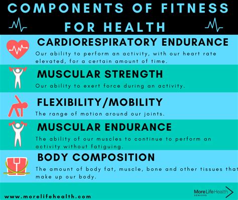 Components Of Fitness For Seniors Health More Life Health — More