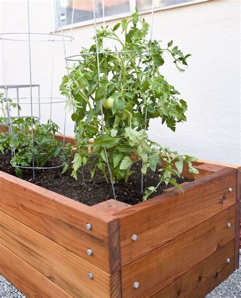 Large Redwood Planter Box For Tomatoes Diy Projects