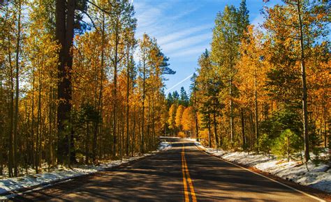 This Fall Foliage Drive Is One Of The Best Autumn Day Trips In Nevada