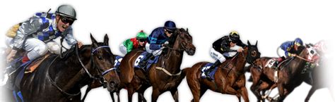 Horse Racing Png 10 Free Cliparts Download Images On Clipground 2024
