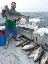 Old Salt Fishing Charters Pictures