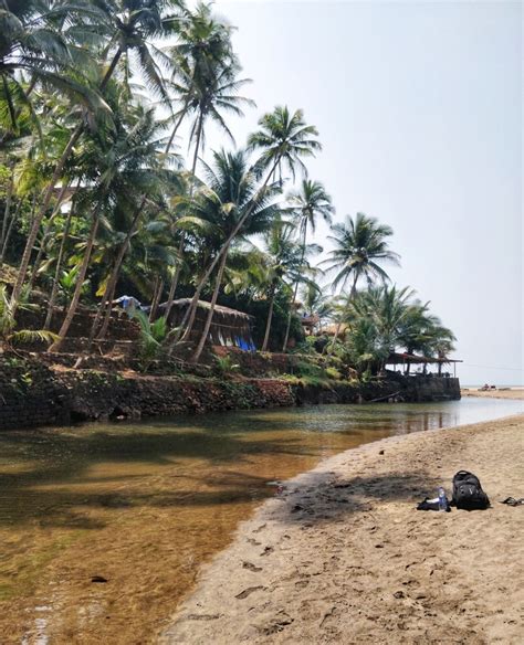 Guide To Cola Beach In South Goa Rishabh Dev