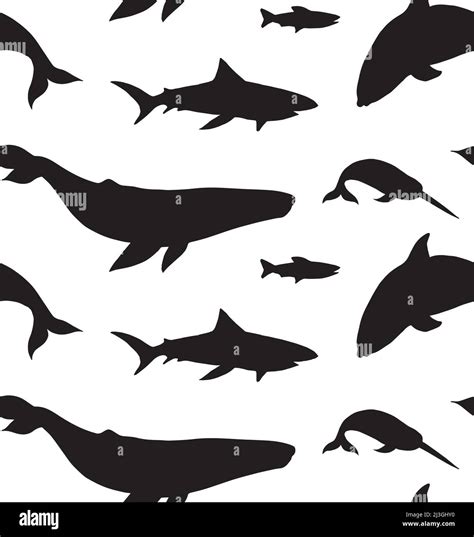 Vector Seamless Pattern Of Fish Whales And Sharks Silhouette Isolated