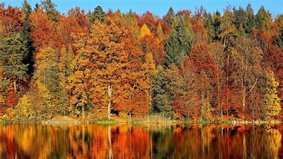 Fall Nature Feel Affects Leaves Pbs Climate
