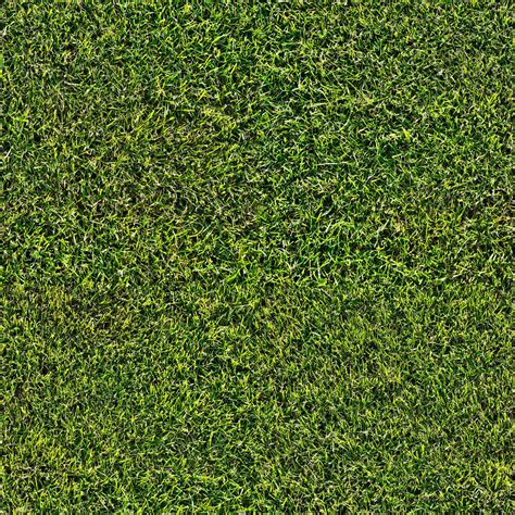 Seamless Grass Lawn Texture Wild Textures