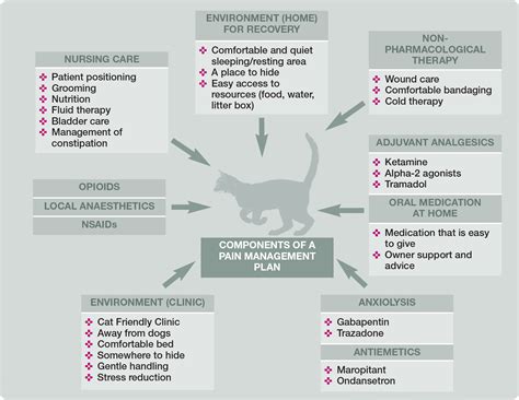 2022 Isfm Consensus Guidelines On The Management Of Acute 59 Off