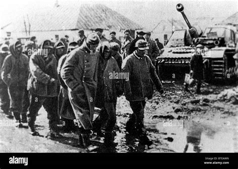 German Pow After The Kursk Battle Stock Photo Royalty Free Image