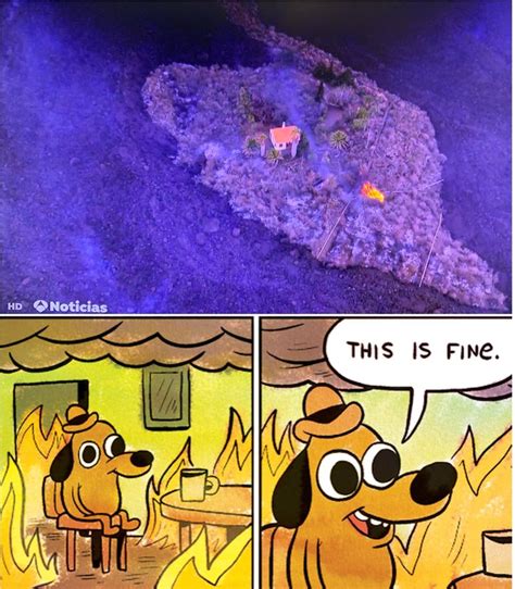 the best volcano memes memedroid