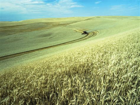 Could Russia Dominate World Agriculture