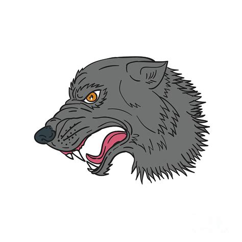 Grey Wolf Head Growling Drawing Digital Art By Aloysius Patrimonio