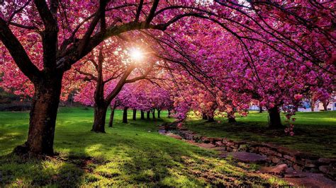 Spring Landscapes A Palette Of Blossoms And Growth Arthatravel Com