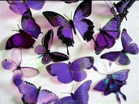 Pin By Sheila Ector On Purple Passion Purple Butterfly Wallpaper