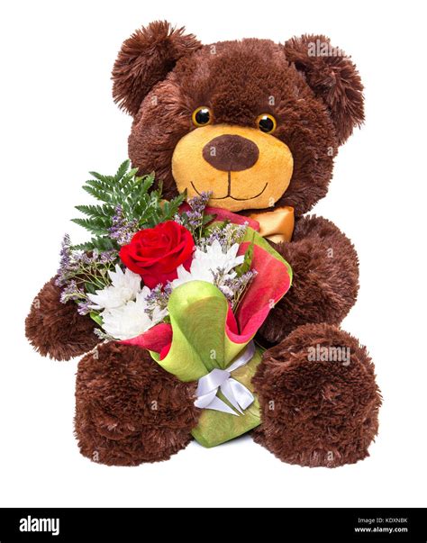 Smiling Teddy Bear Holding Beautiful Floral Bouquet In Paws On White