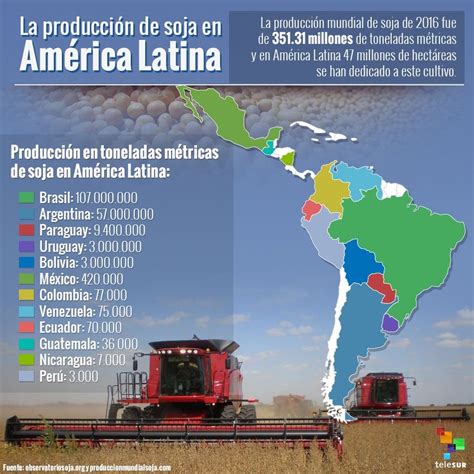 El Agronegocio De La Soja En América Latina En Profundidad Telesur