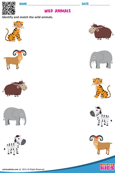 Wild Animals Animal Activities For Kids Animal Worksheets Preschool