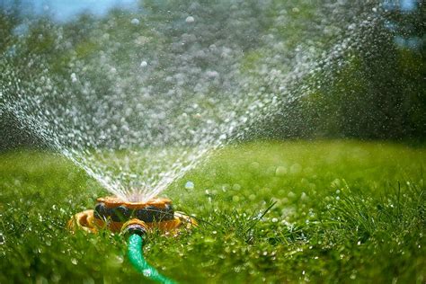 How Long Should You Water Your Lawn Guide To Lawn Irrigation