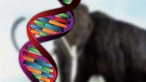 Unde a fost găsit cel mai vechi ADN din lume Oamenii de ştiinţă uimiţi