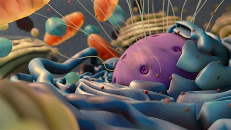 Search, discover and share your favorite cell animation gifs. 360° Cellular Activity Animation (demo) - YouTube