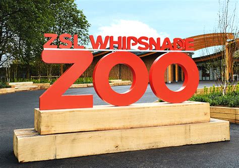 M Worldwide Creates New Whipsnade Zoo Visitor Centre Design Week
