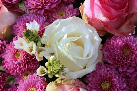 Blumenstrauß Weisse Rose Blüten Kostenloses Foto Auf Pixabay Pixabay