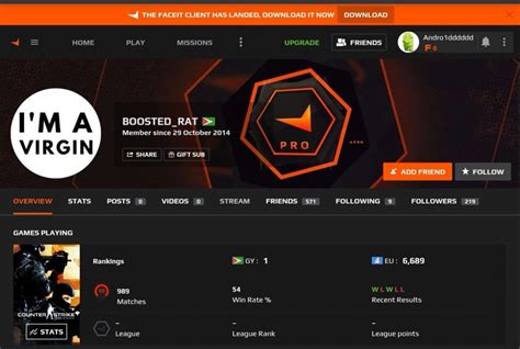 All About The Faceit Boosting Service Amdis