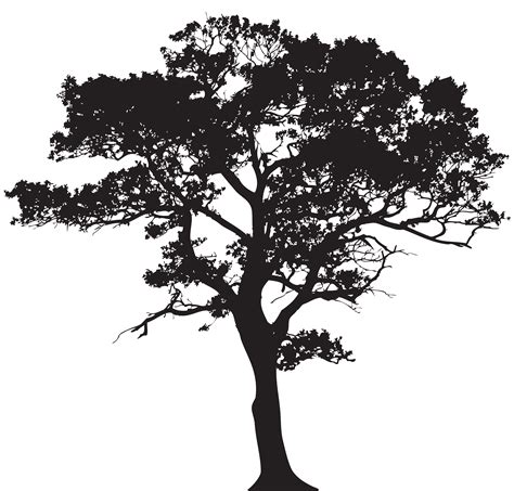 Tree Silhouette Clip Art Silhouette Tree Png Clip Art Image Png Download 80007662 Free