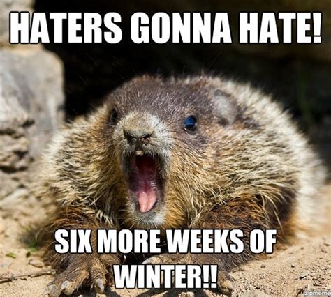 Groundhog Day Memes For 2017 In Hopes That His Shadow Doesnt Scare Him