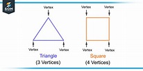 Vertices | Definition & Meaning