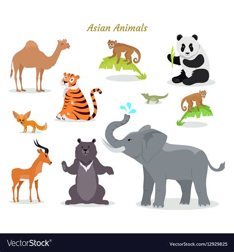 Asian Animals Fauna Species Camel Panda Tiger Vector Image