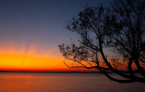 Обои Dark Twilight Sky Nature Sunset Water Lake Landscapes Tree