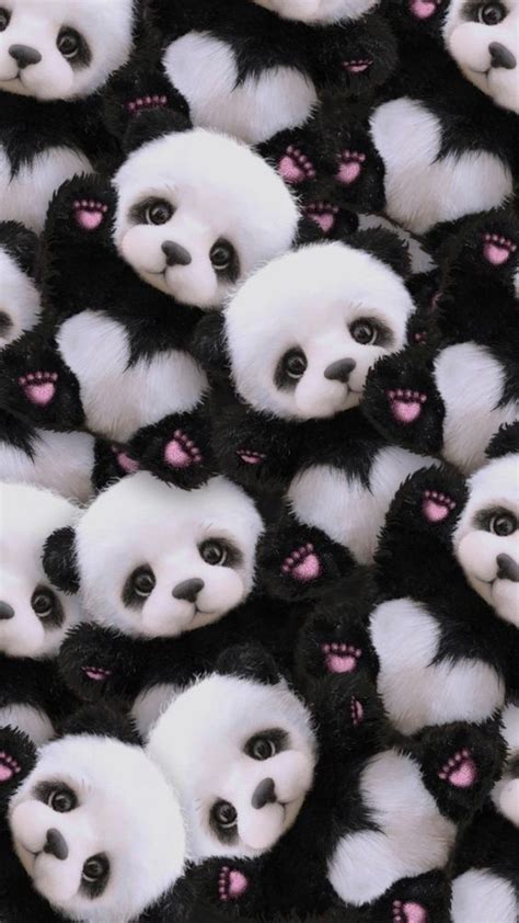 100 Wallpaper Panda Lucu Untuk Whatsapp Yang Imut Abis
