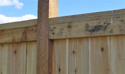 Maybe you would like to learn more about one of these? How to Build a 6 Foot Privacy Fence