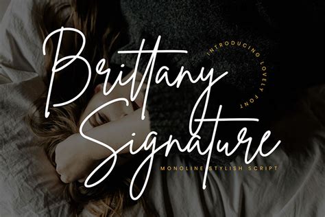 30 Free Signature Fonts Script Fonts To Download Now